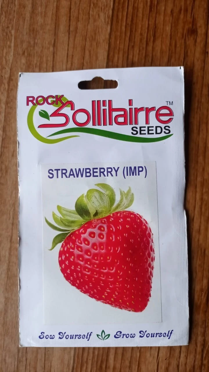 Strawberry Seeds IMP Varierty ( 40 seeds) - Eco Shop