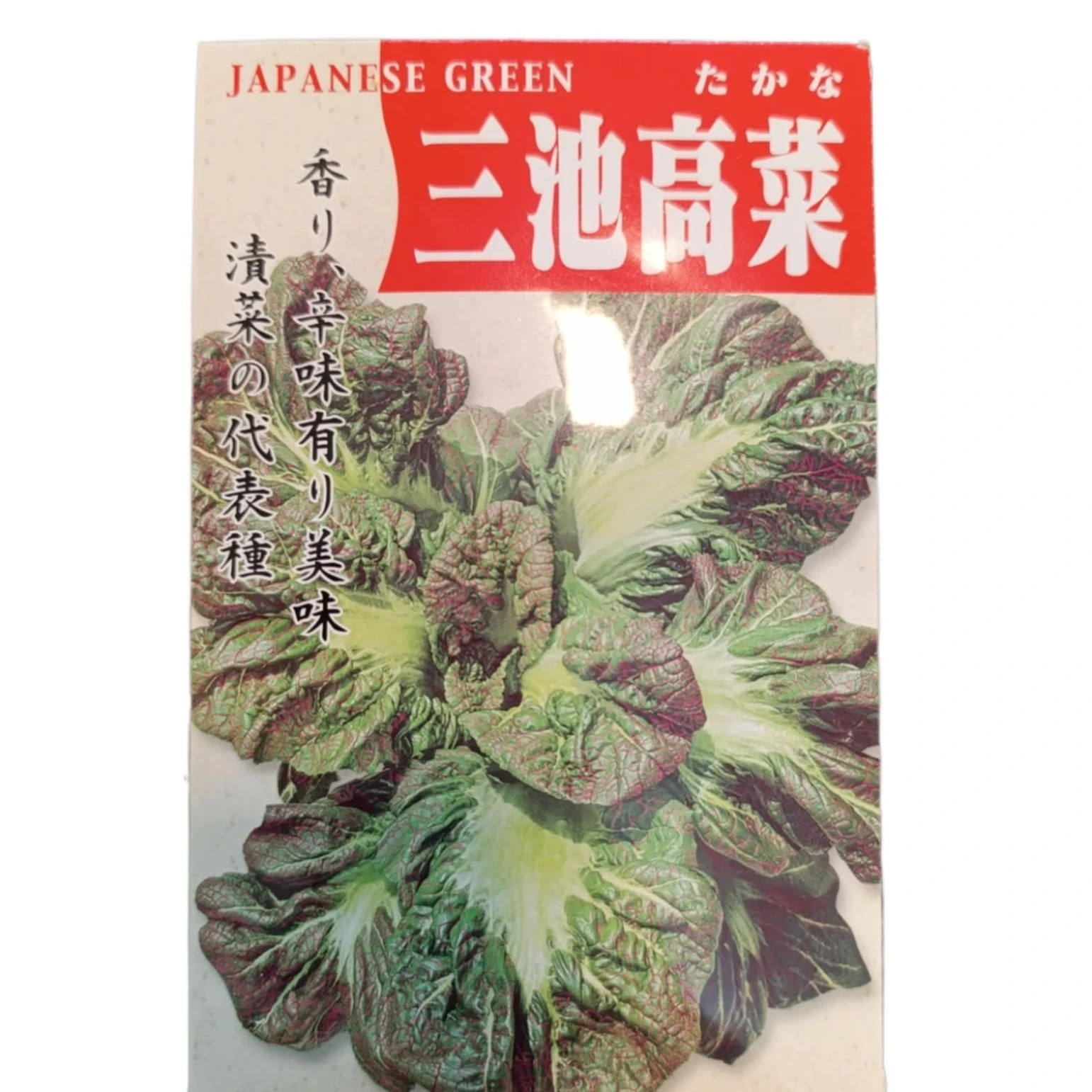 Japanese Green Mustard Seeds ( Japanese Rayo ) 5g - Eco Shop