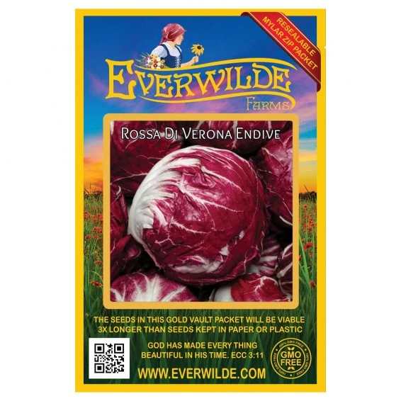 Red Iceberg Lettuce ( Radicchio) (2 gram) - Eco Shop