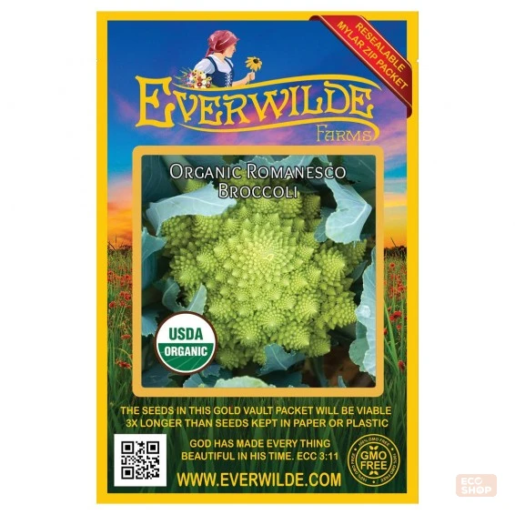Romanesco Broccoli Seeds (2 gram ) - Eco Shop