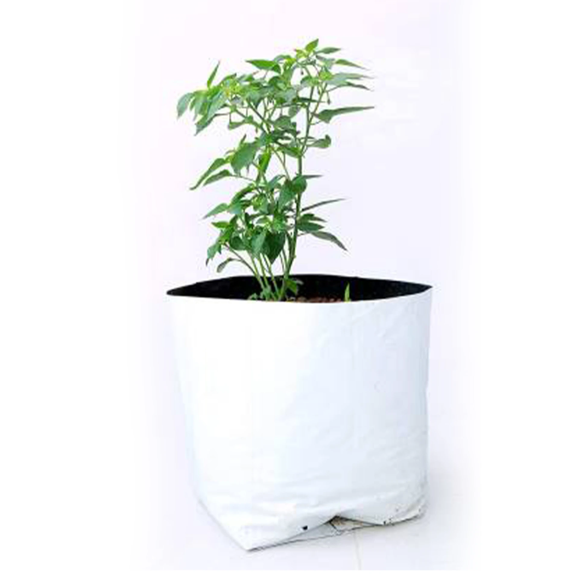 Grow Bag 5 Pc ( 4 Size Options ) - Eco Shop